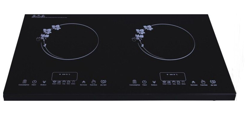 Double Burner Electric Induction Cooker Newstar Home Appliance